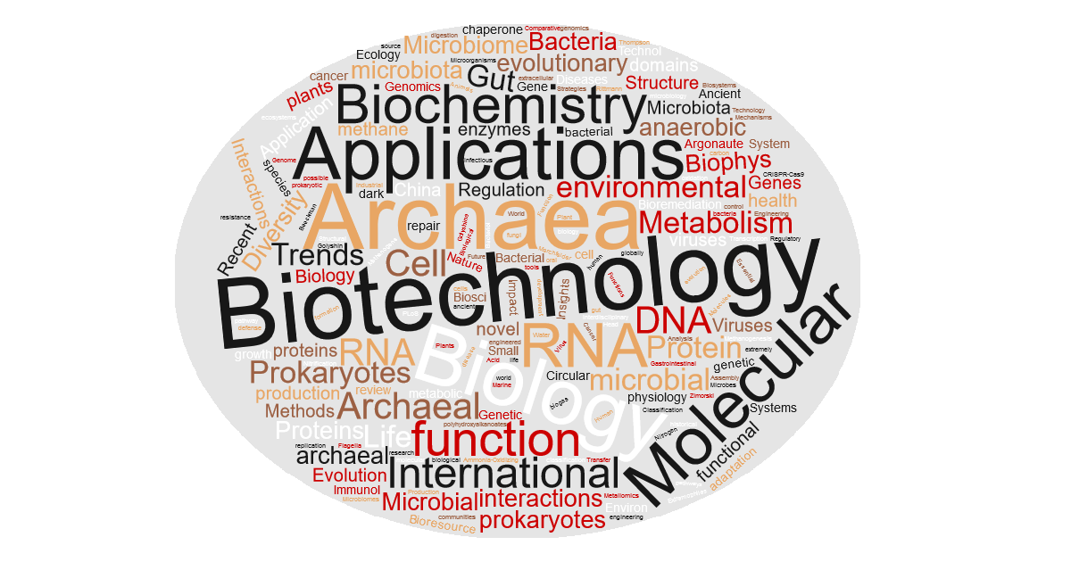 Graphical abstract